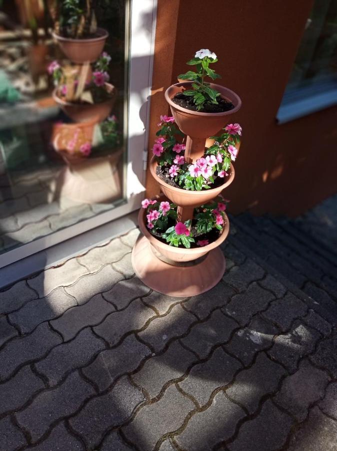 Pergola Panzio Hotel Balatonfoldvar Exterior photo